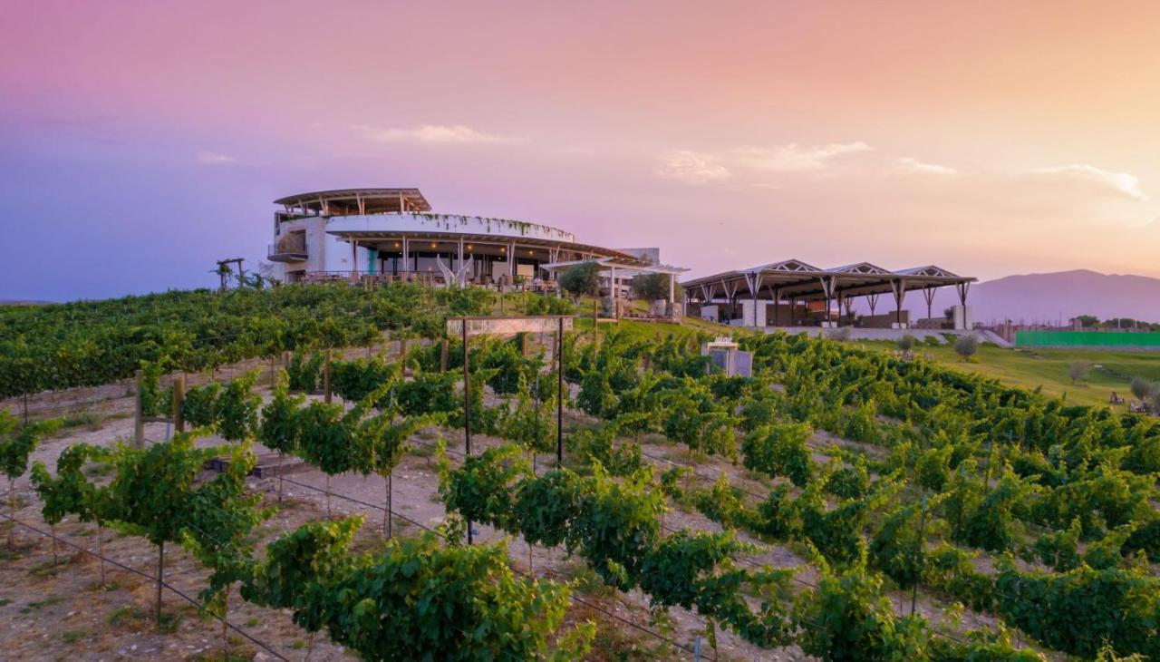 Hotel Vinicola Parvada By Lumina Паррас-де-ла-Фуенте Екстер'єр фото
