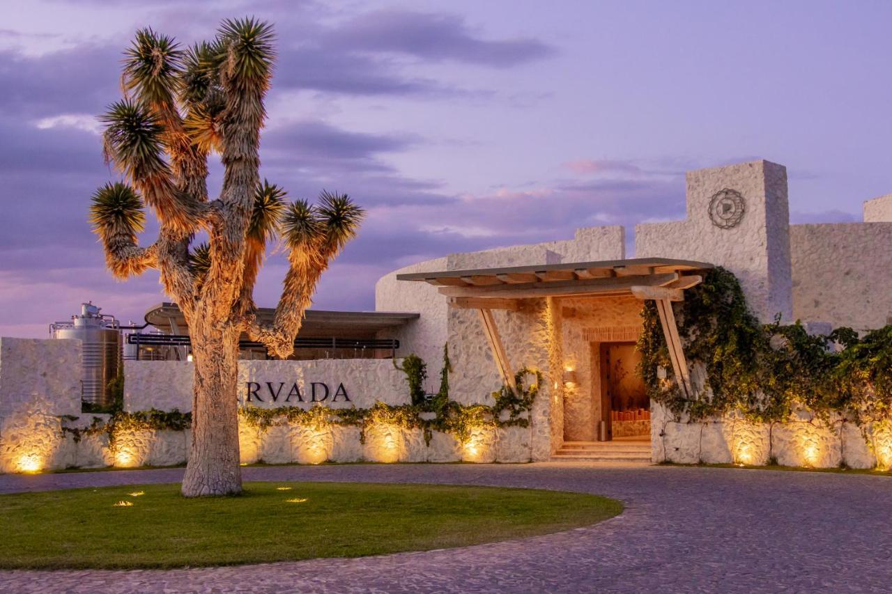 Hotel Vinicola Parvada By Lumina Паррас-де-ла-Фуенте Екстер'єр фото