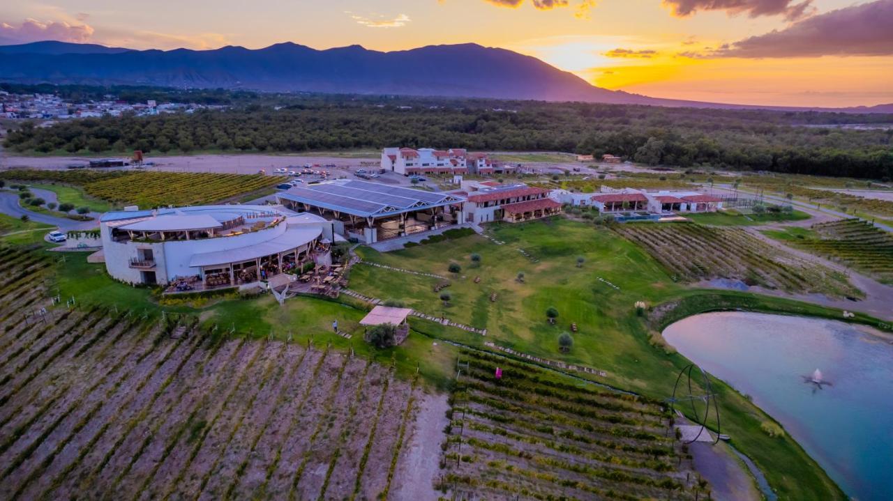 Hotel Vinicola Parvada By Lumina Паррас-де-ла-Фуенте Екстер'єр фото