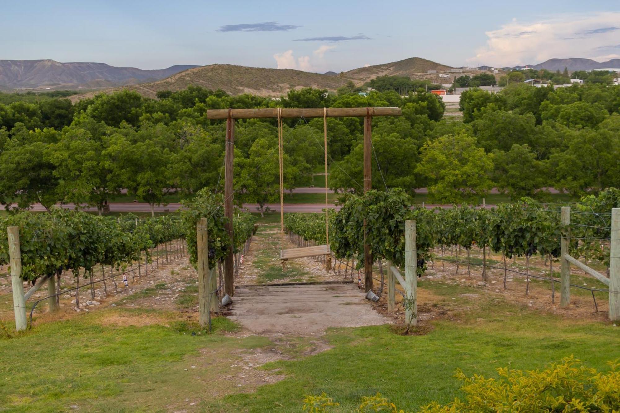 Hotel Vinicola Parvada By Lumina Паррас-де-ла-Фуенте Екстер'єр фото